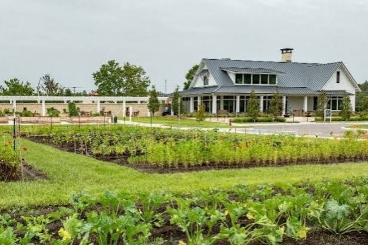 Angeline community photo 3, Land O' Lakes, FL