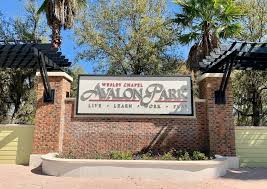 Hawthorne Village at Avalon Park West community photo 2, Wesley Chapel, FL